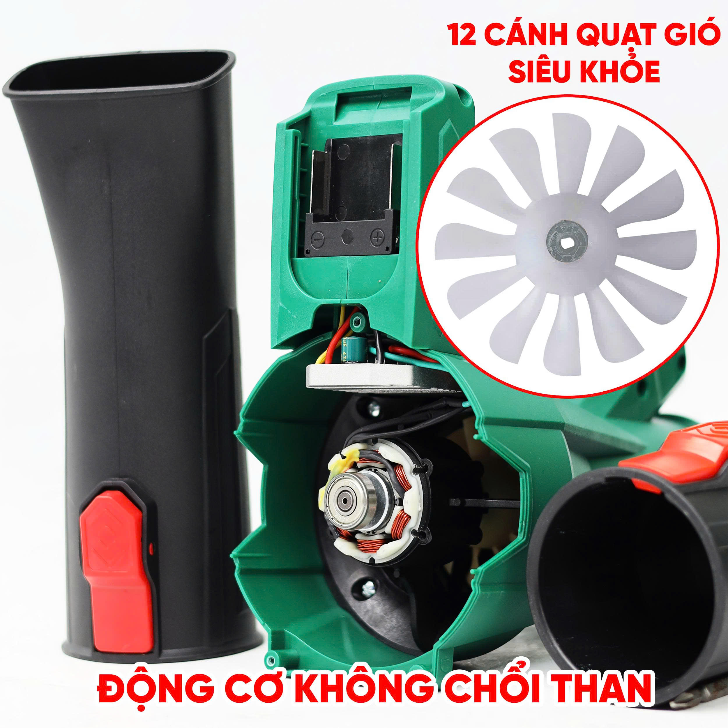 z7194306484649_6708546a28e988f0abbab47cecc310bd