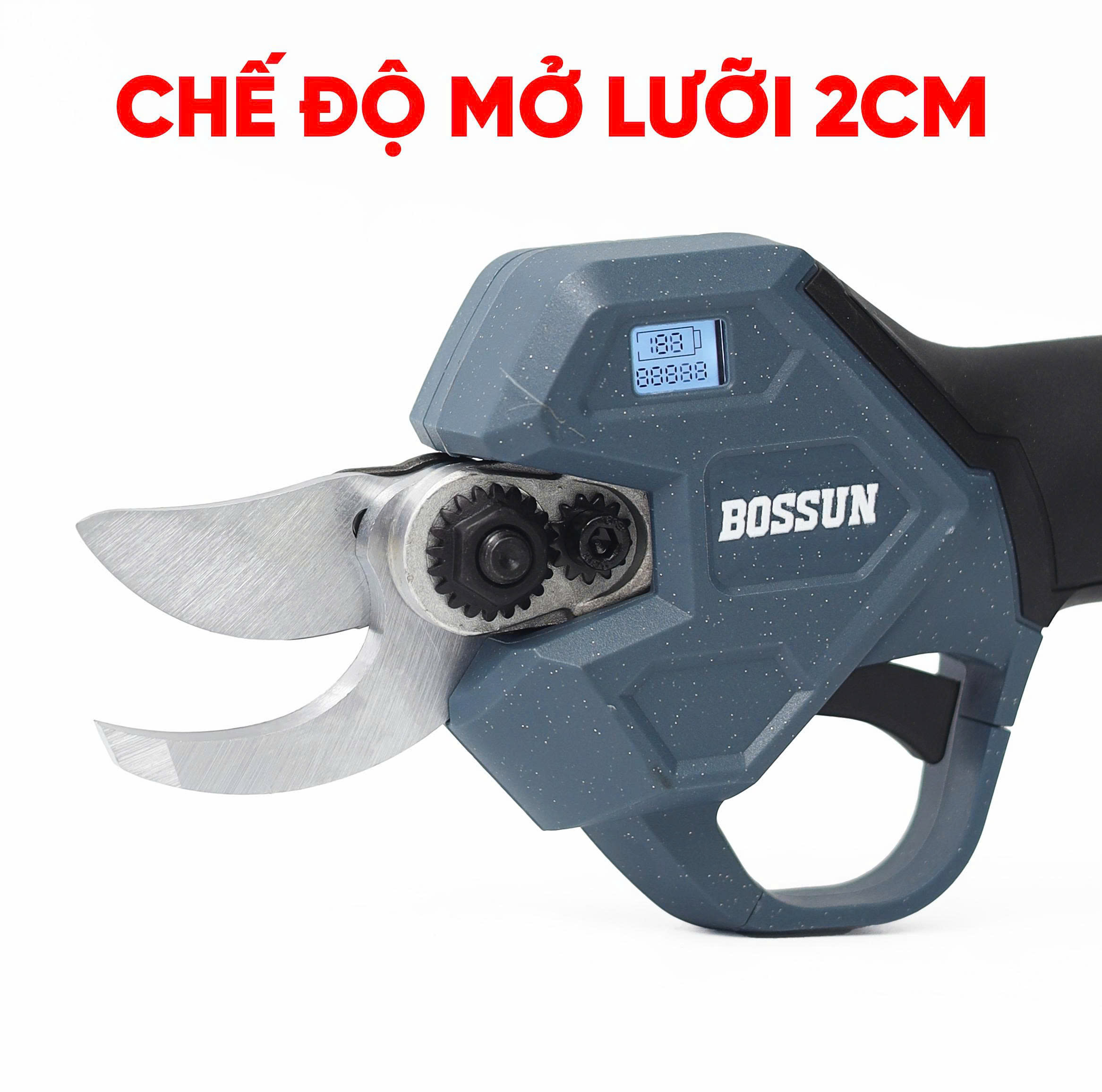 z7699341445240_8eb1f11fd97bdd2f5c2caa5e063904be